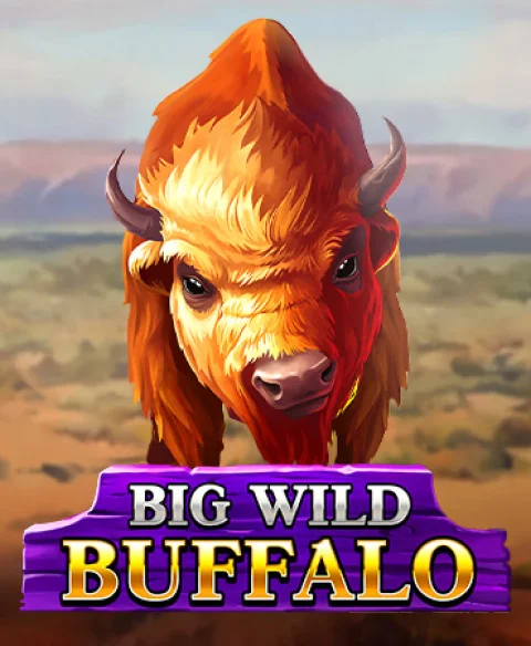 Play Big Wild Buffalo at Grand Rush Casino